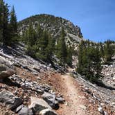 Review photo of Baker Creek Campground — Great Basin National Park by Thomas B., July 17, 2020