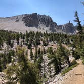 Review photo of Baker Creek Campground — Great Basin National Park by Thomas B., July 17, 2020