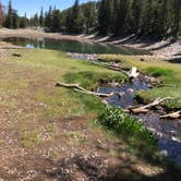 Review photo of Baker Creek Campground — Great Basin National Park by Thomas B., July 17, 2020