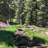 Review photo of Baker Creek Campground — Great Basin National Park by Thomas B., July 17, 2020