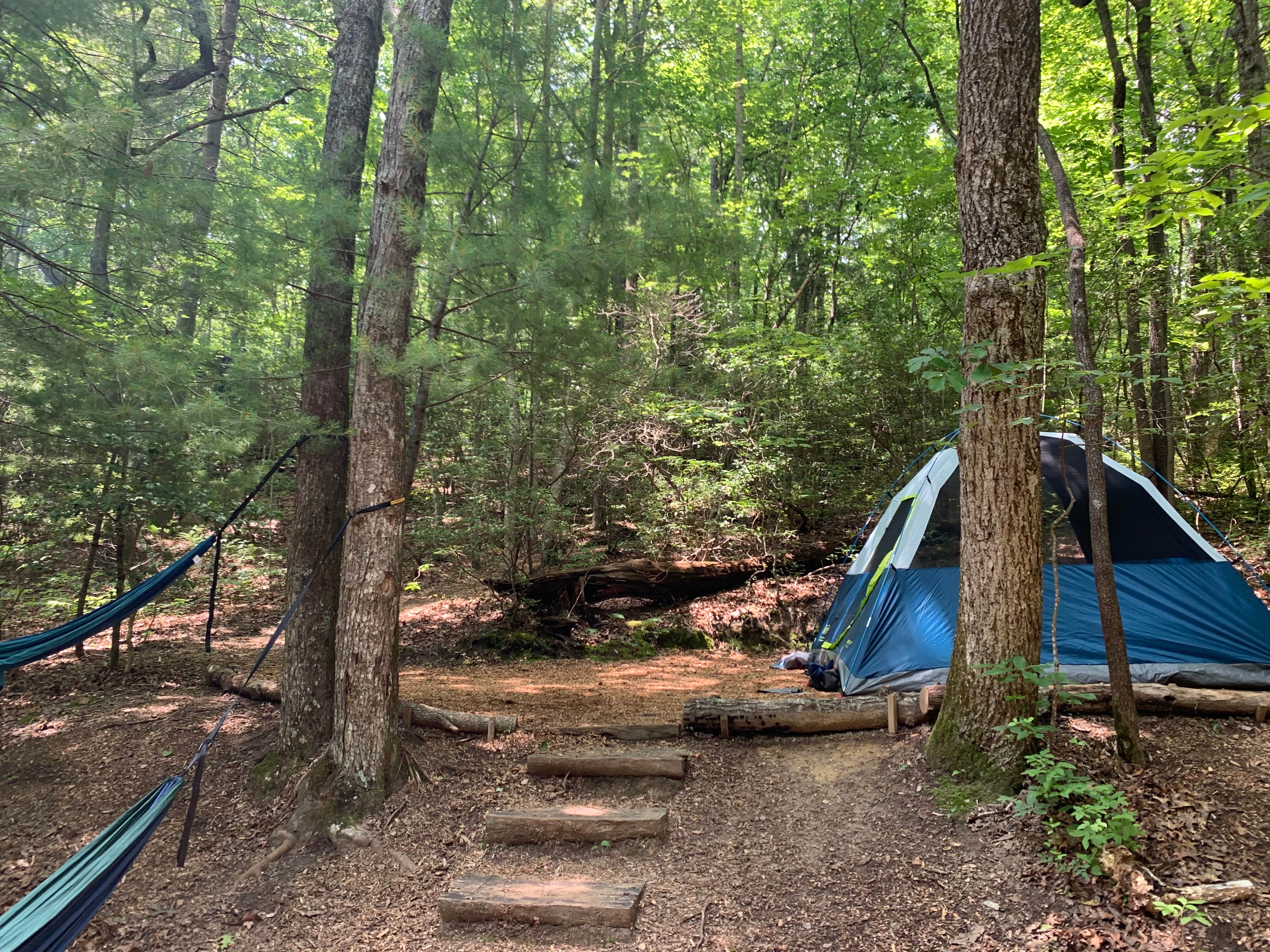 Camper submitted image from Ash Grove - 3