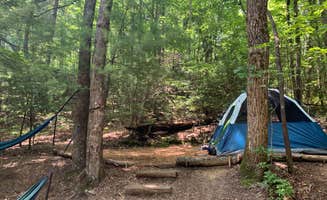 sydni B.'s photo at Ash Grove near Balsam Grove, NC