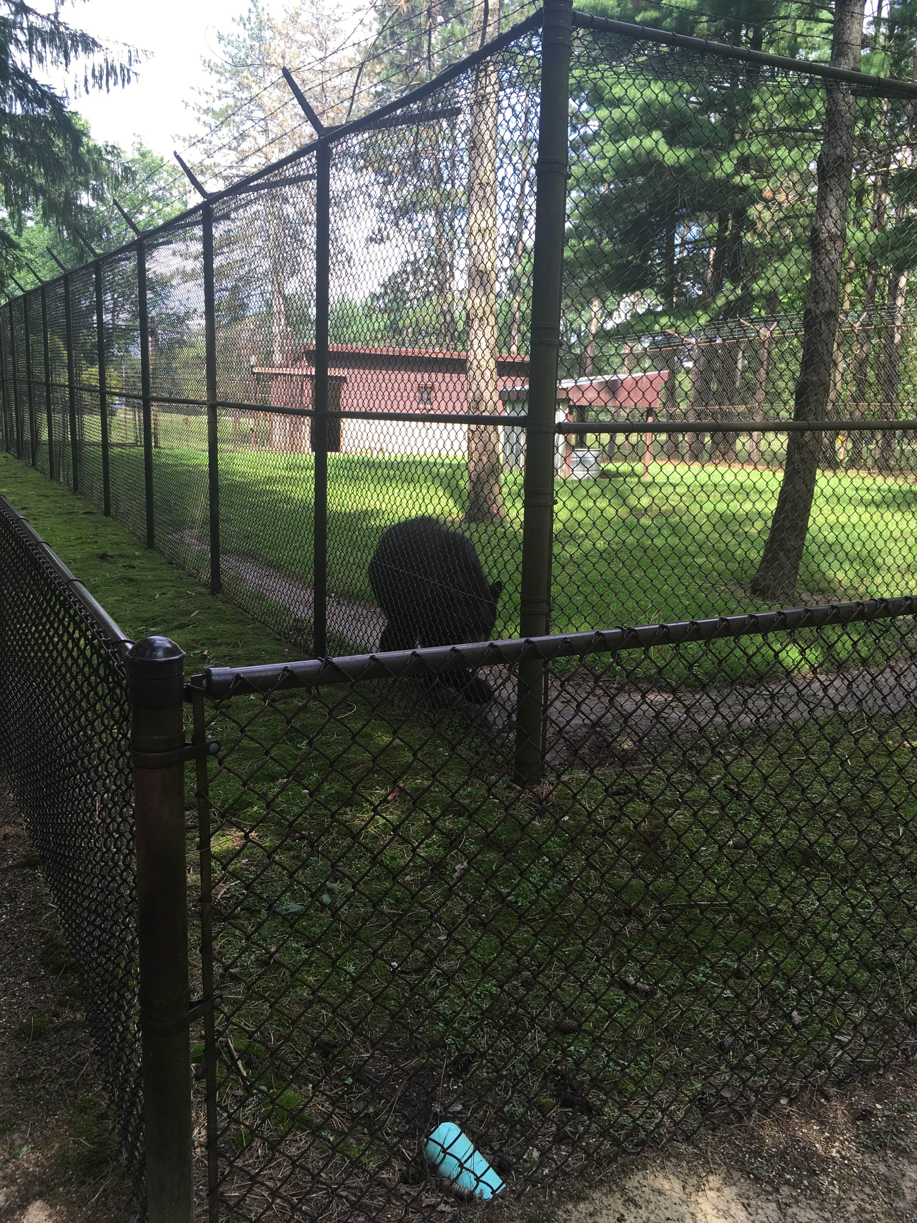 Camping near Motor Mill Historic Site: Osborne Conservation Center, Elkader, Iowa
