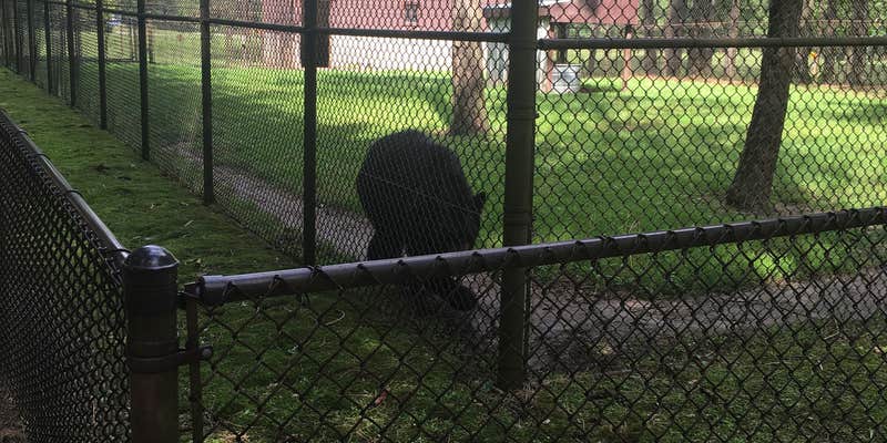 Camper submitted image from Osborne Conservation Center