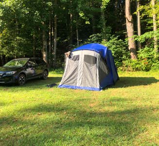 Camper-submitted photo from Spacious Skies Shenandoah Views