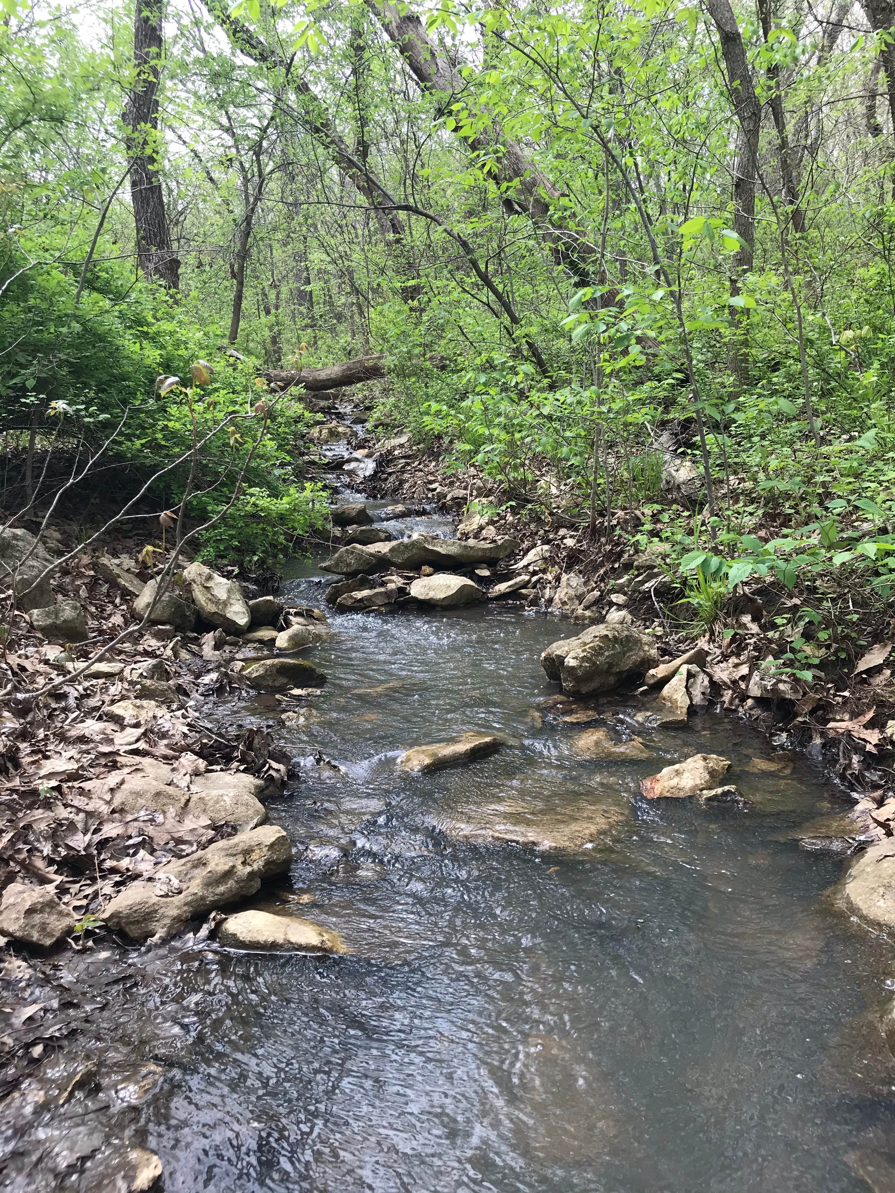 Camper-submitted photo at Woodridge Park near Topeka, KS