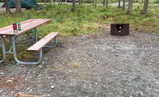 Glenys M.'s photo at Swiftwater Park & Campground near Kenai National Wildlife Refuge