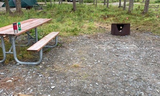 Camping near Kenai River Special Management Area: Swiftwater Park & Campground, Soldotna, Alaska
