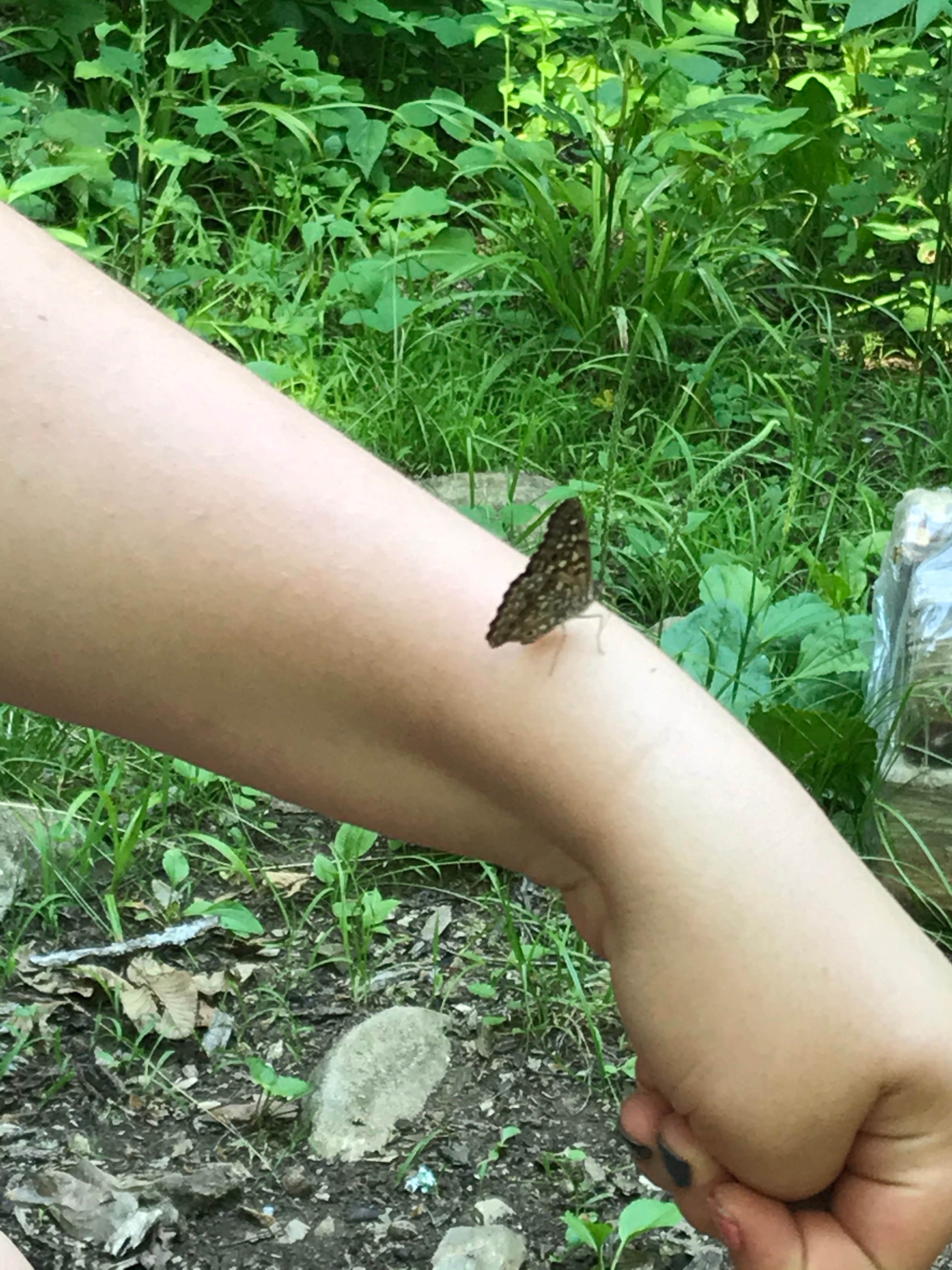 Camper-submitted photo at Woodridge Park near Lyndon, KS