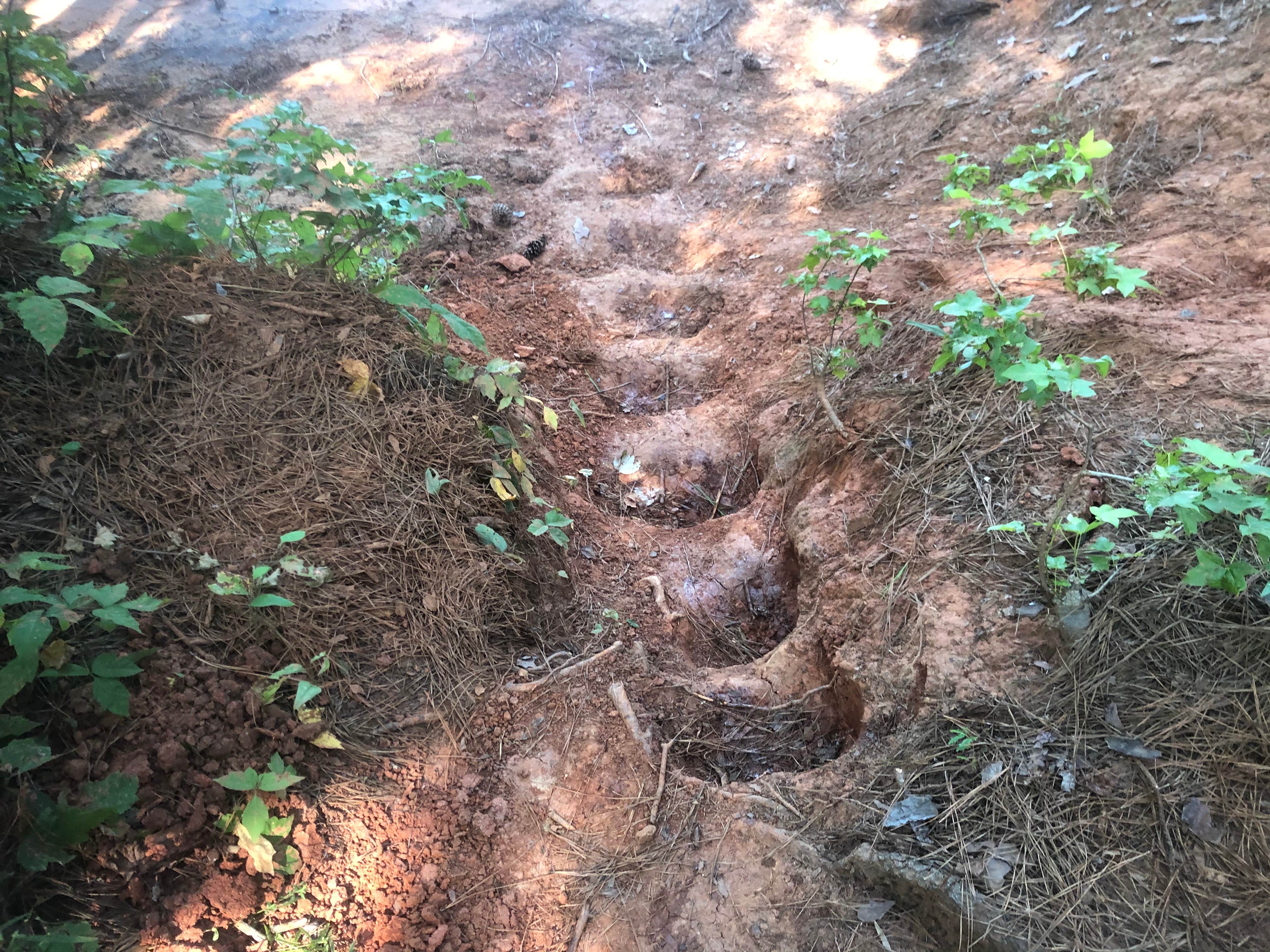 Camper-submitted photo at Hickory Knob State Park Resort — Hickory Knob State Park near Aiken, SC