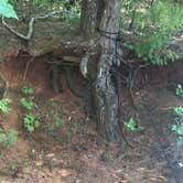 Review photo of Hickory Knob State Park Resort — Hickory Knob State Park by Bill C., July 18, 2020