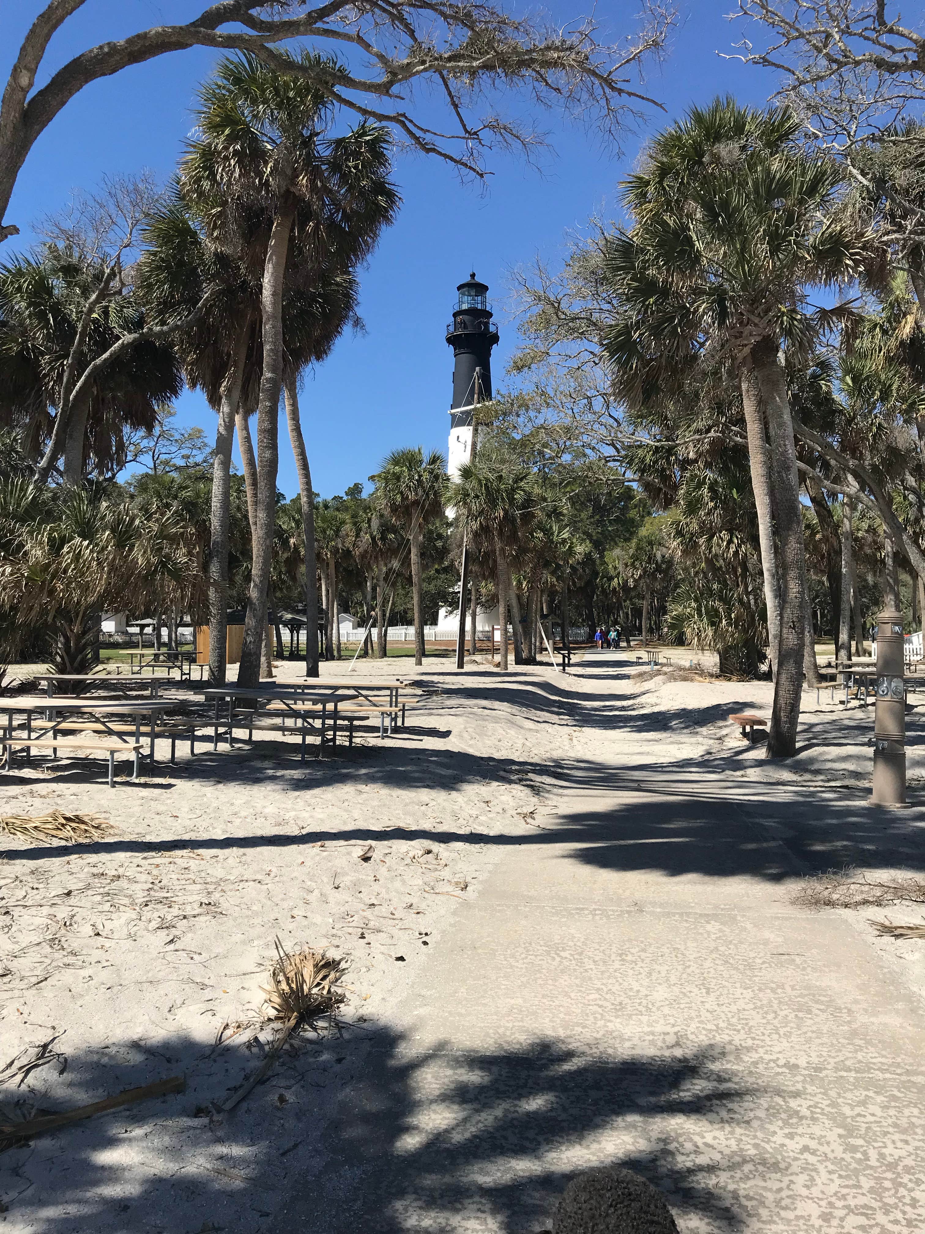 Camper submitted image from Hunting Island State Park Campground - 4