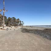 Review photo of Hunting Island State Park Campground by Leslie R., March 4, 2018