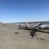 Review photo of Hunting Island State Park Campground by Leslie R., March 4, 2018