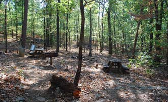 Camping near Chilhowee Recreation Area: Ocoee Campin', Benton, Tennessee