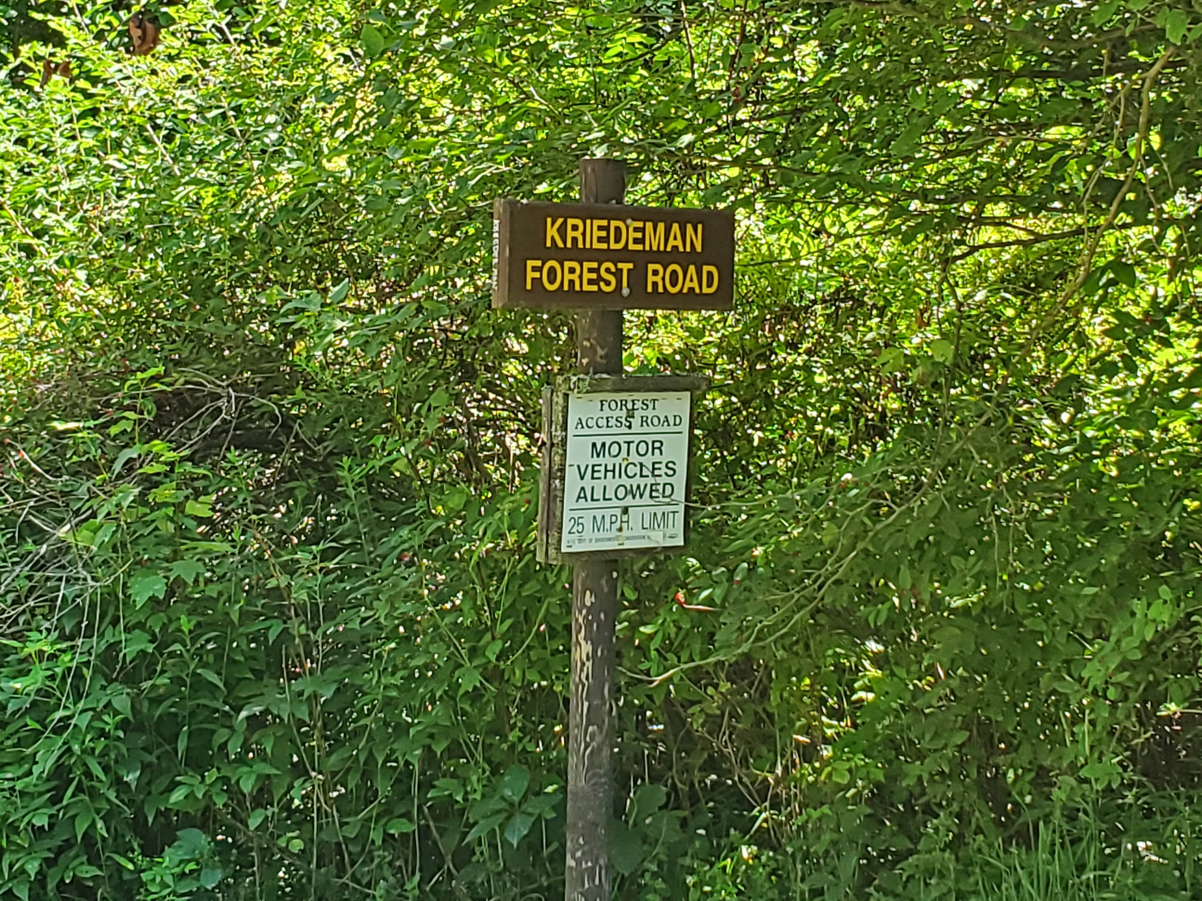 Camper-submitted photo at East Otto State Forest near Cassadaga, NY