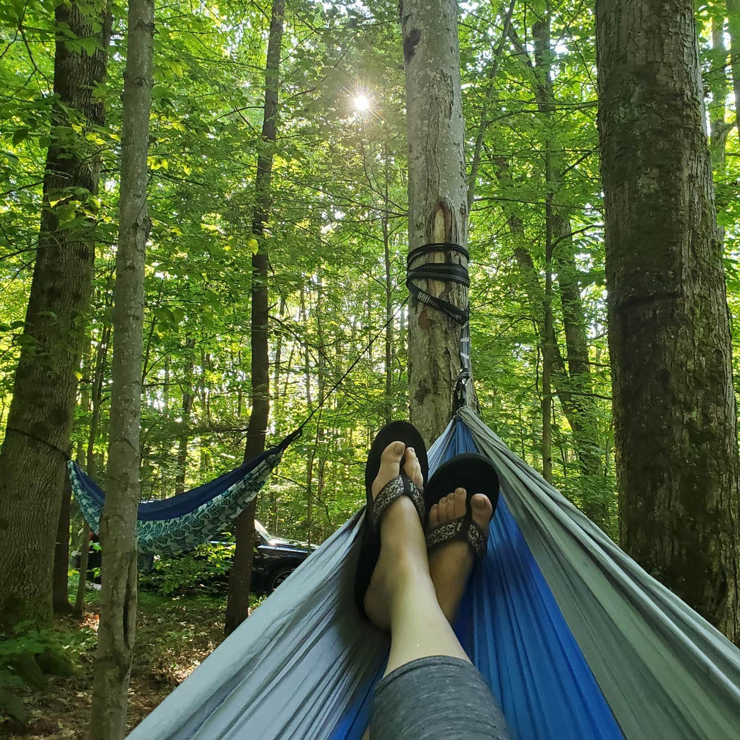 Camper submitted image from East Otto State Forest - 5