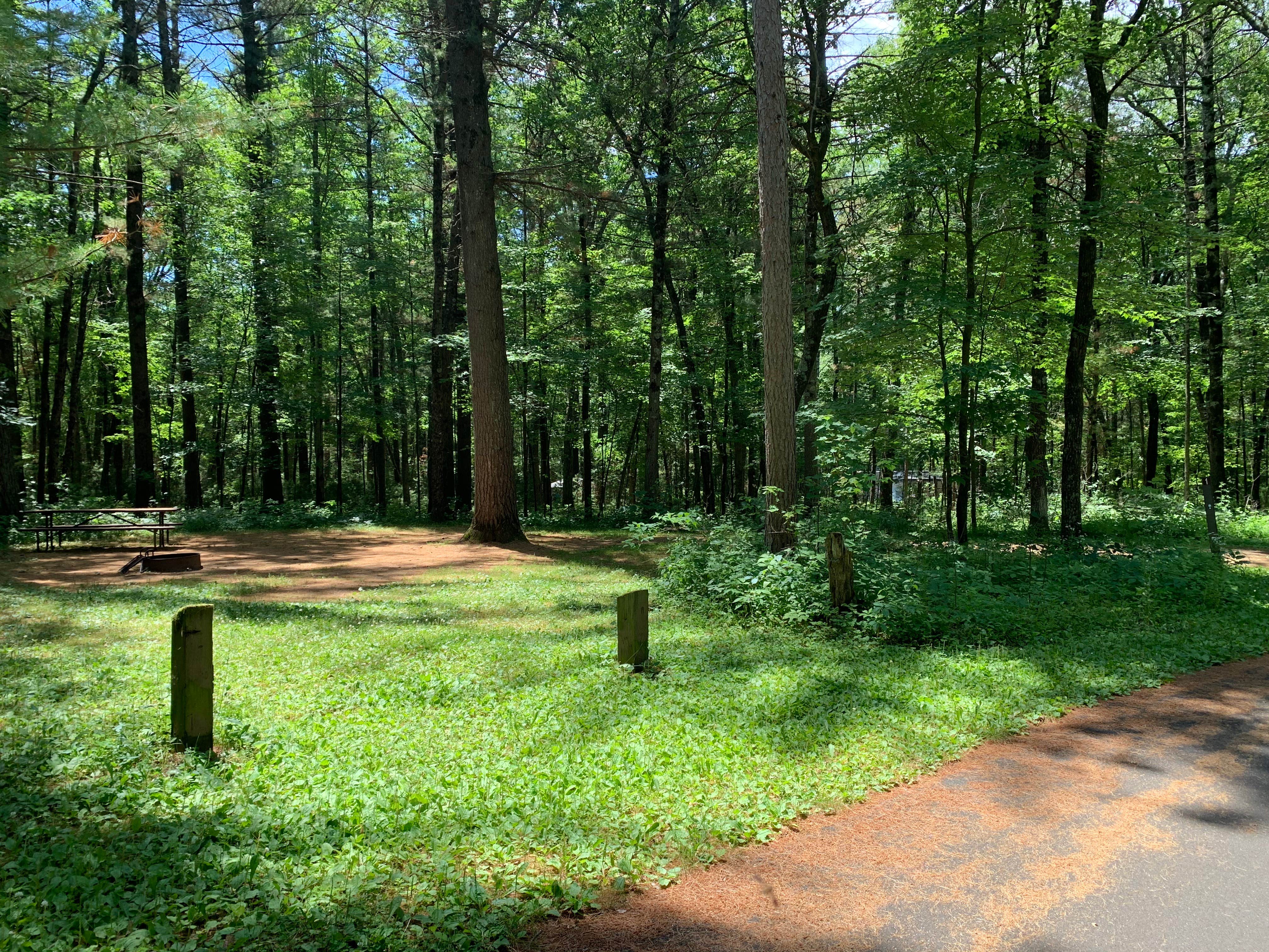 Castle Mound Campground — Black River State Forest | Black River Falls, WI