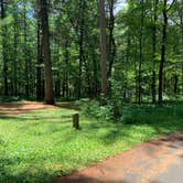 Review photo of Castle Mound Campground — Black River State Forest by Scott M., July 18, 2020