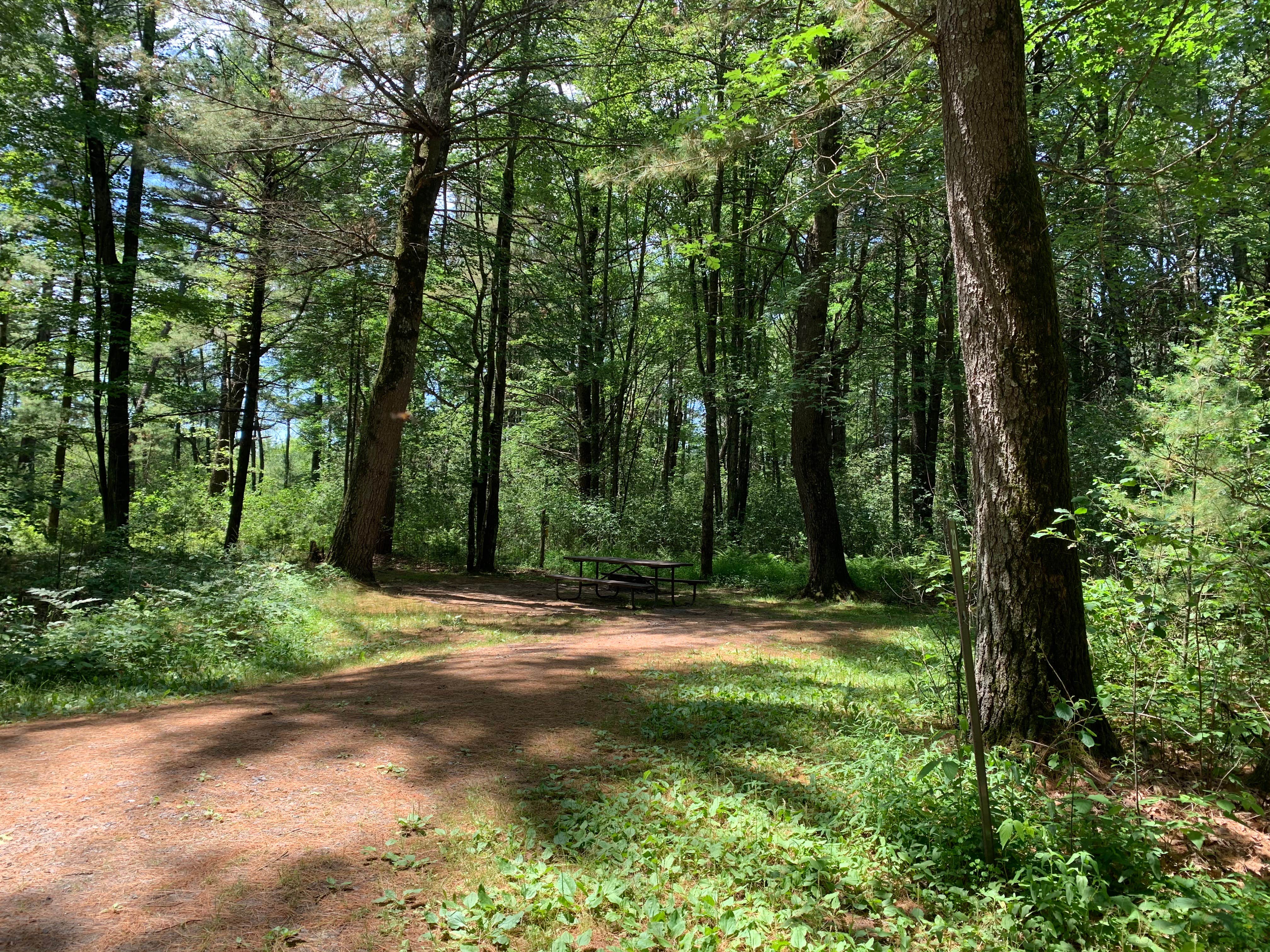 Camper-submitted photo at Castle Mound Campground — Black River State Forest near Humbird, WI