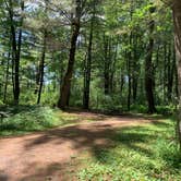 Review photo of Castle Mound Campground — Black River State Forest by Scott M., July 18, 2020