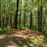 Review photo of Castle Mound Campground — Black River State Forest by Scott M., July 18, 2020