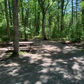 Review photo of Castle Mound Campground — Black River State Forest by Scott M., July 18, 2020