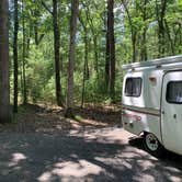 Review photo of Castle Mound Campground — Black River State Forest by Scott M., July 18, 2020