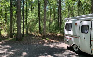 Scott M.'s photo of rv camping at Castle Mound Campground — Black River State Forest near Black River Falls, WI