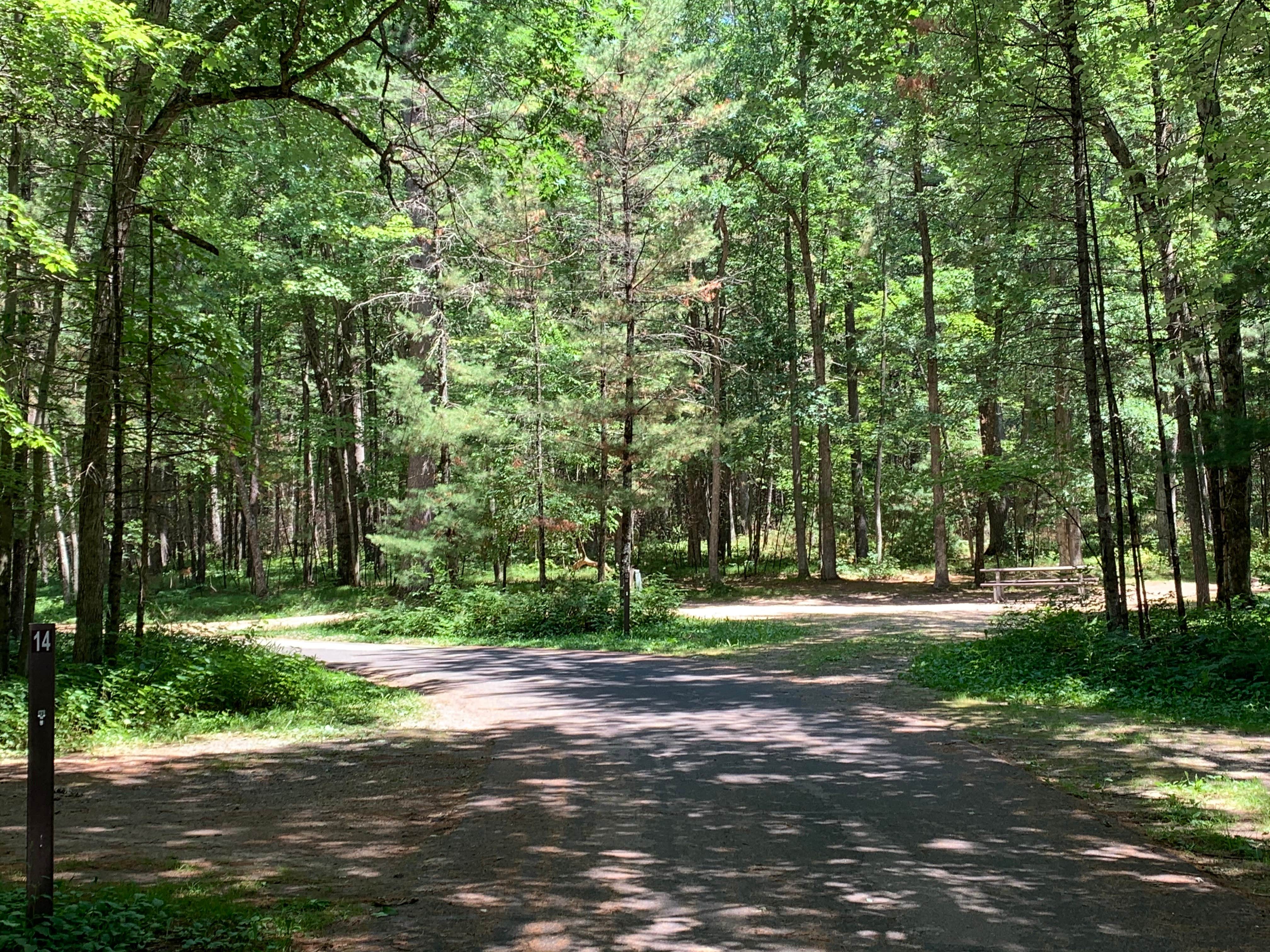 Camper-submitted photo at Castle Mound Campground — Black River State Forest near Humbird, WI