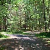 Review photo of Castle Mound Campground — Black River State Forest by Scott M., July 18, 2020