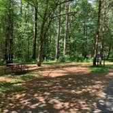 Review photo of Castle Mound Campground — Black River State Forest by Scott M., July 18, 2020