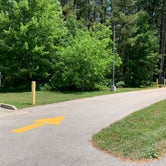 Review photo of Castle Mound Campground — Black River State Forest by Scott M., July 18, 2020