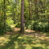 Review photo of Castle Mound Campground — Black River State Forest by Scott M., July 18, 2020