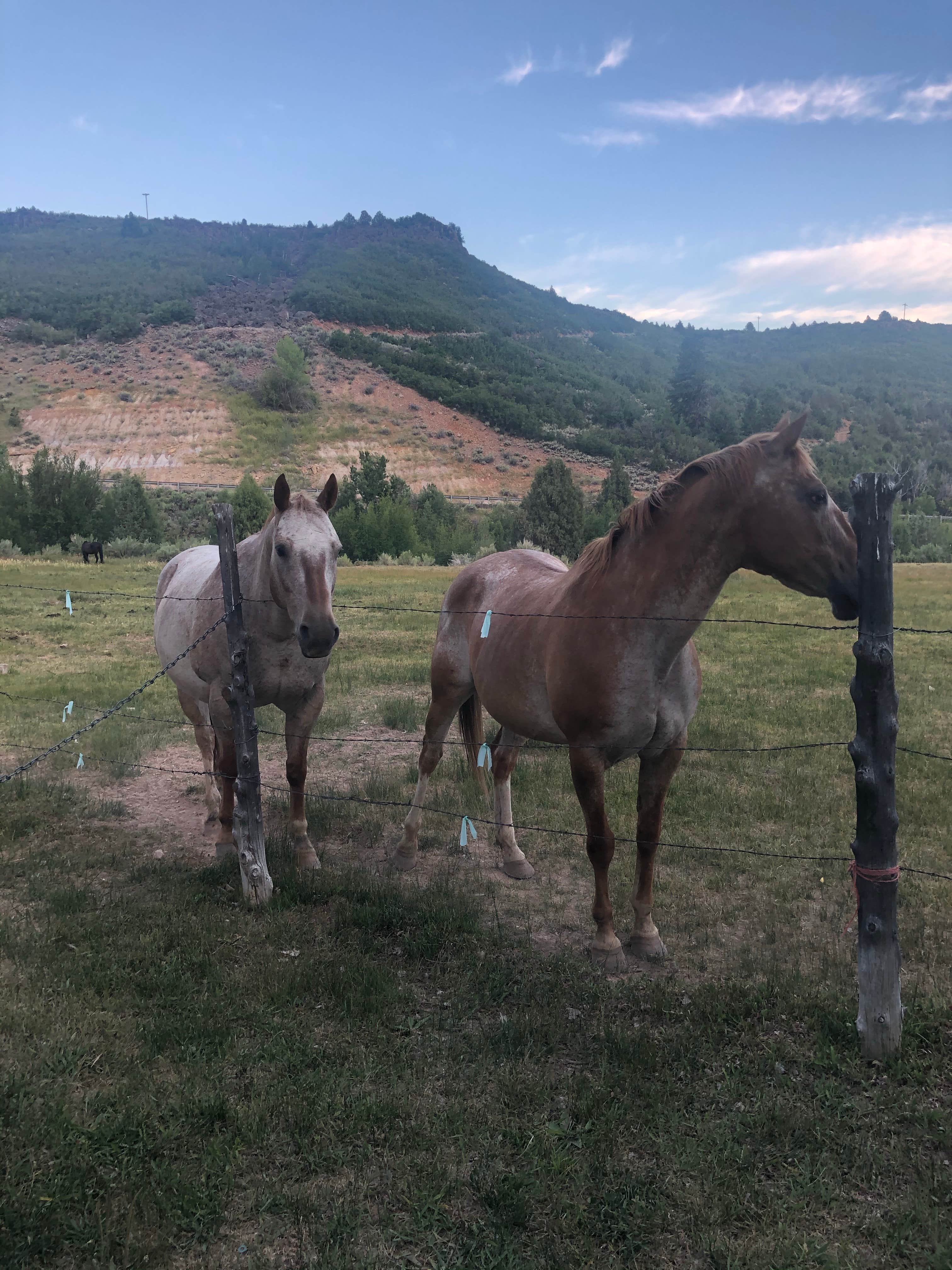 Camper-submitted photo at Bryce Zion Campground near Bryce Canyon National Park
