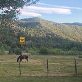 Review photo of Bryce Zion Campground by Janet G., July 18, 2020