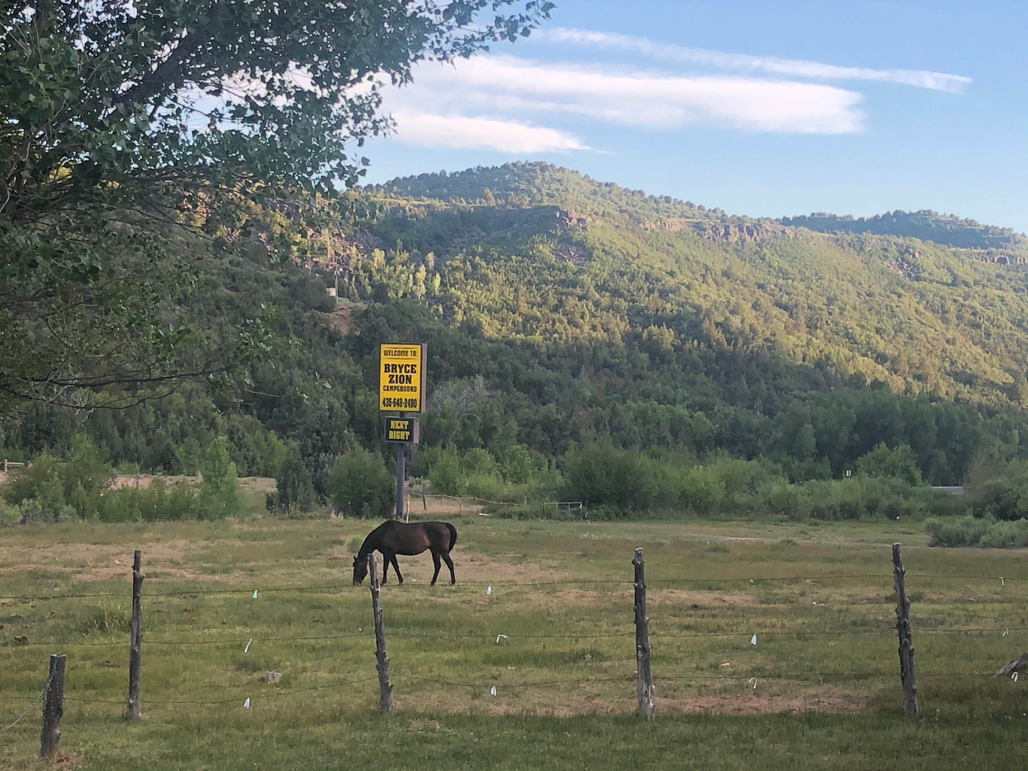 Camper submitted image from Bryce Zion Campground - 2