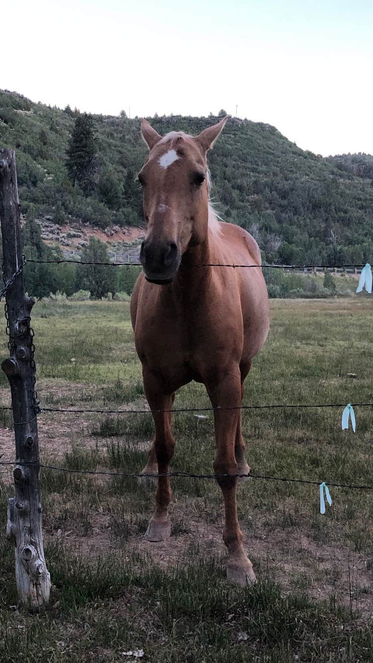 Camper-submitted photo at Bryce Zion Campground near Bryce Canyon National Park
