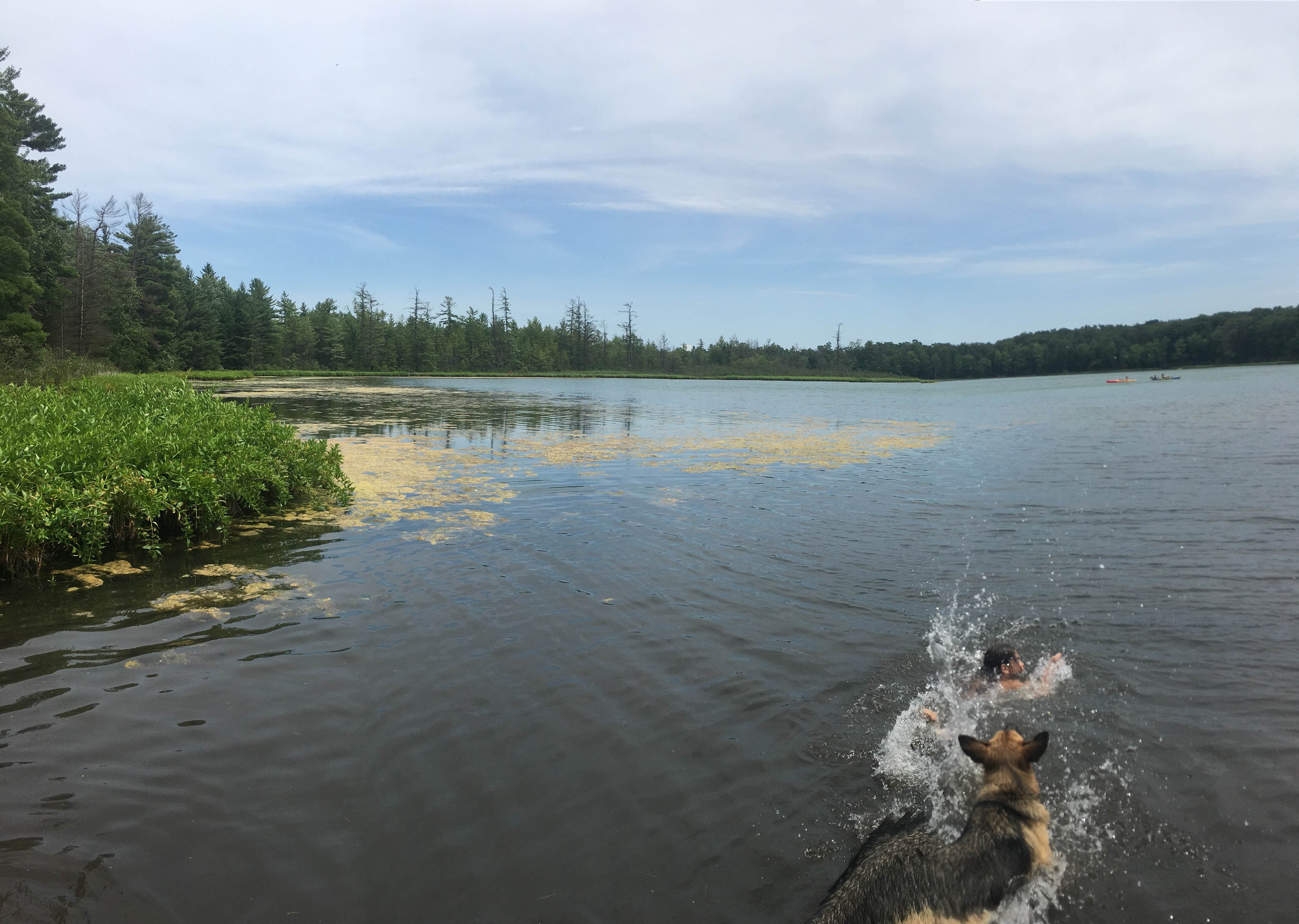 Twinwood Lake: Where Michigan’s Wild Side Meets Family Fun
