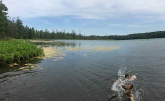 Ryan M.'s photo of camping with pets at Twinwood Lake Campground near Greenville, MI
