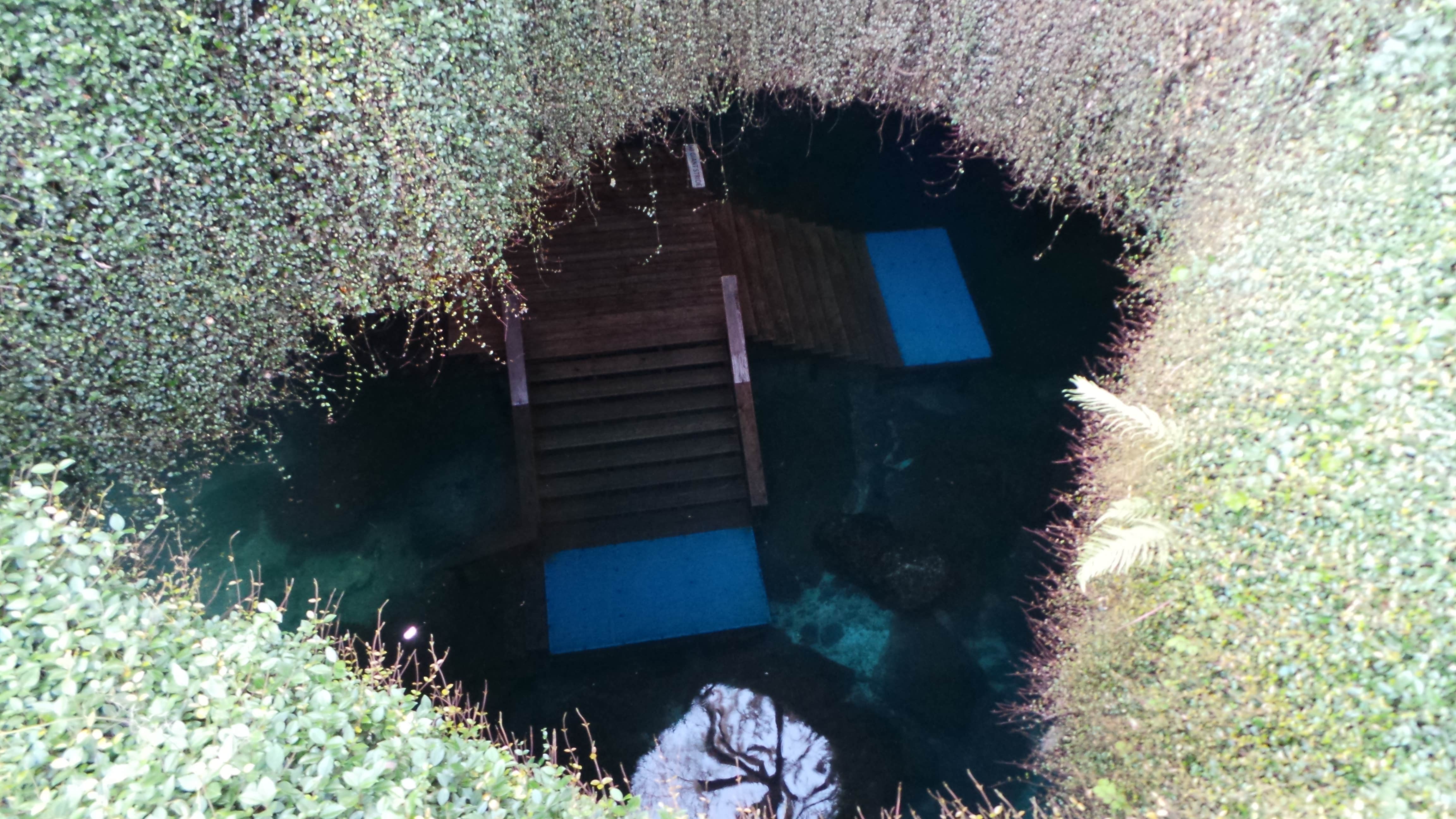 Camper submitted image from Devil's Den Spring - 2