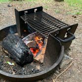 Review photo of Cook Forest State Park Campground by Brannon M., July 18, 2020