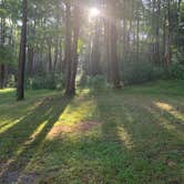 Review photo of Cook Forest State Park Campground by Brannon M., July 18, 2020