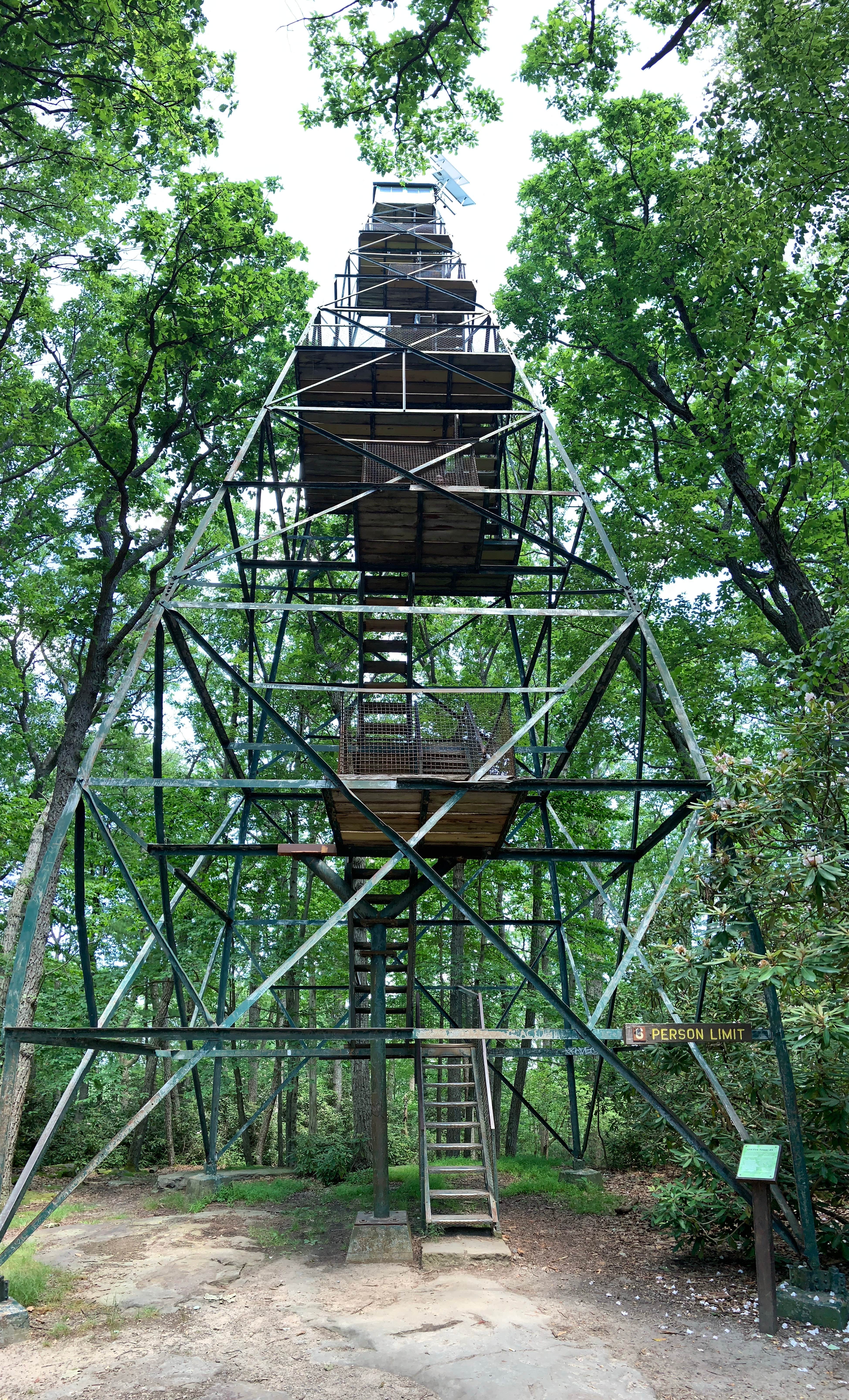 Brannon M.'s photo of a cabin at Cook Forest State Park Campground & Cabins near Leeper, PA