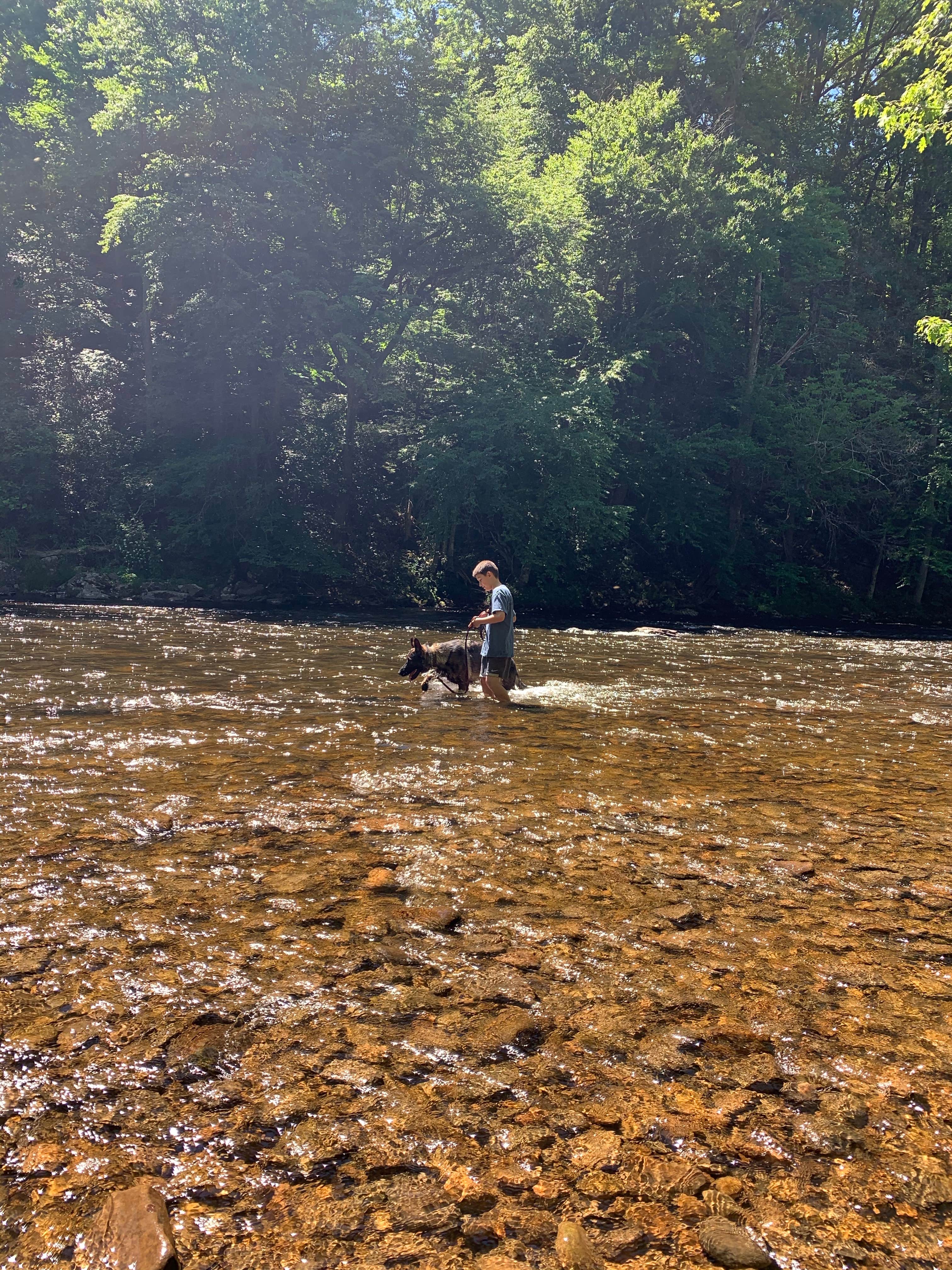 Camper-submitted photo at Stuart Recreation Area near Seneca Rocks, WV