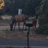 Review photo of Trailer Village RV Park — Grand Canyon National Park by Karen  B., July 18, 2020