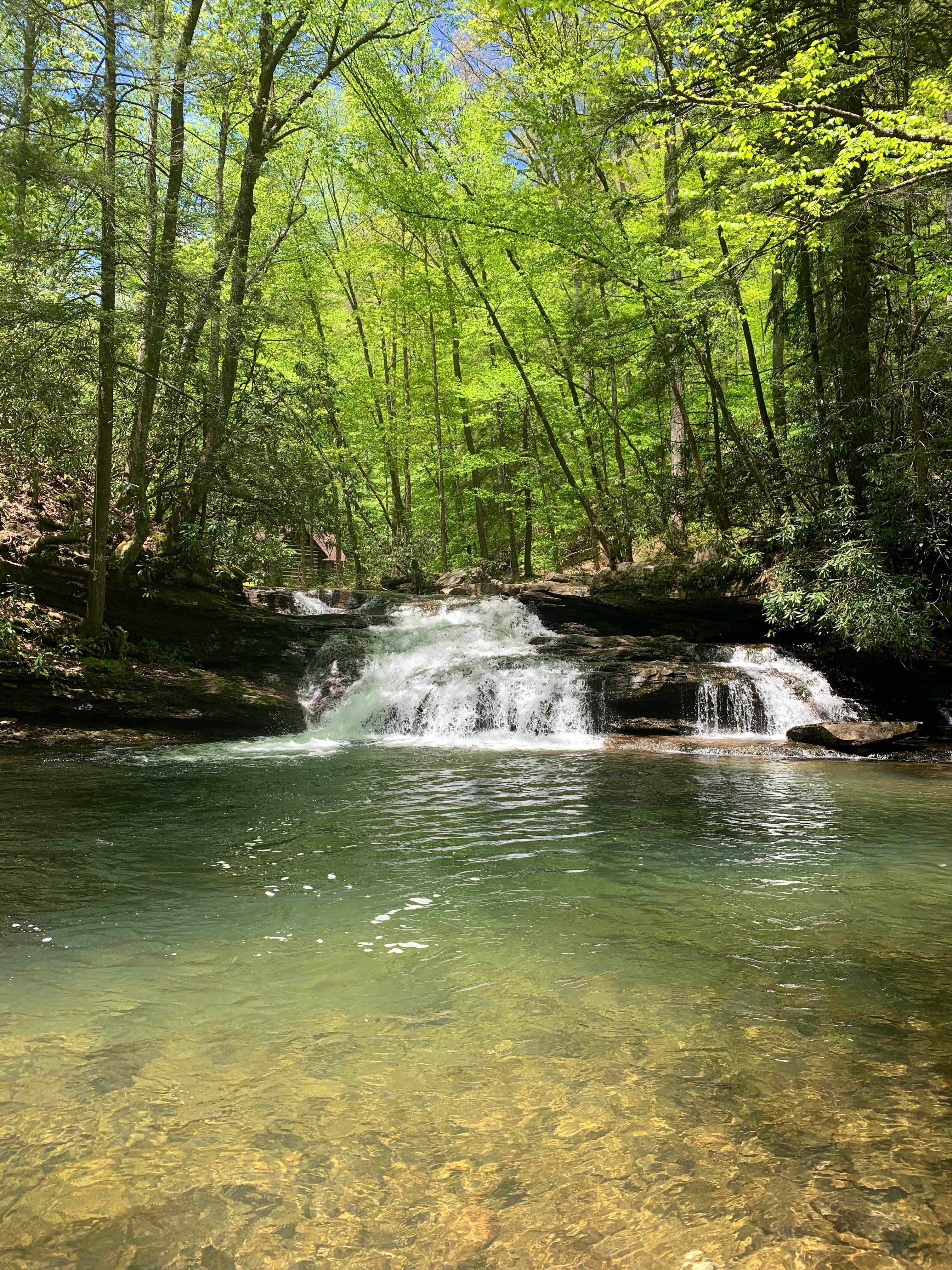 Camper-submitted photo at Kumbrabow State Forest near Horner, WV