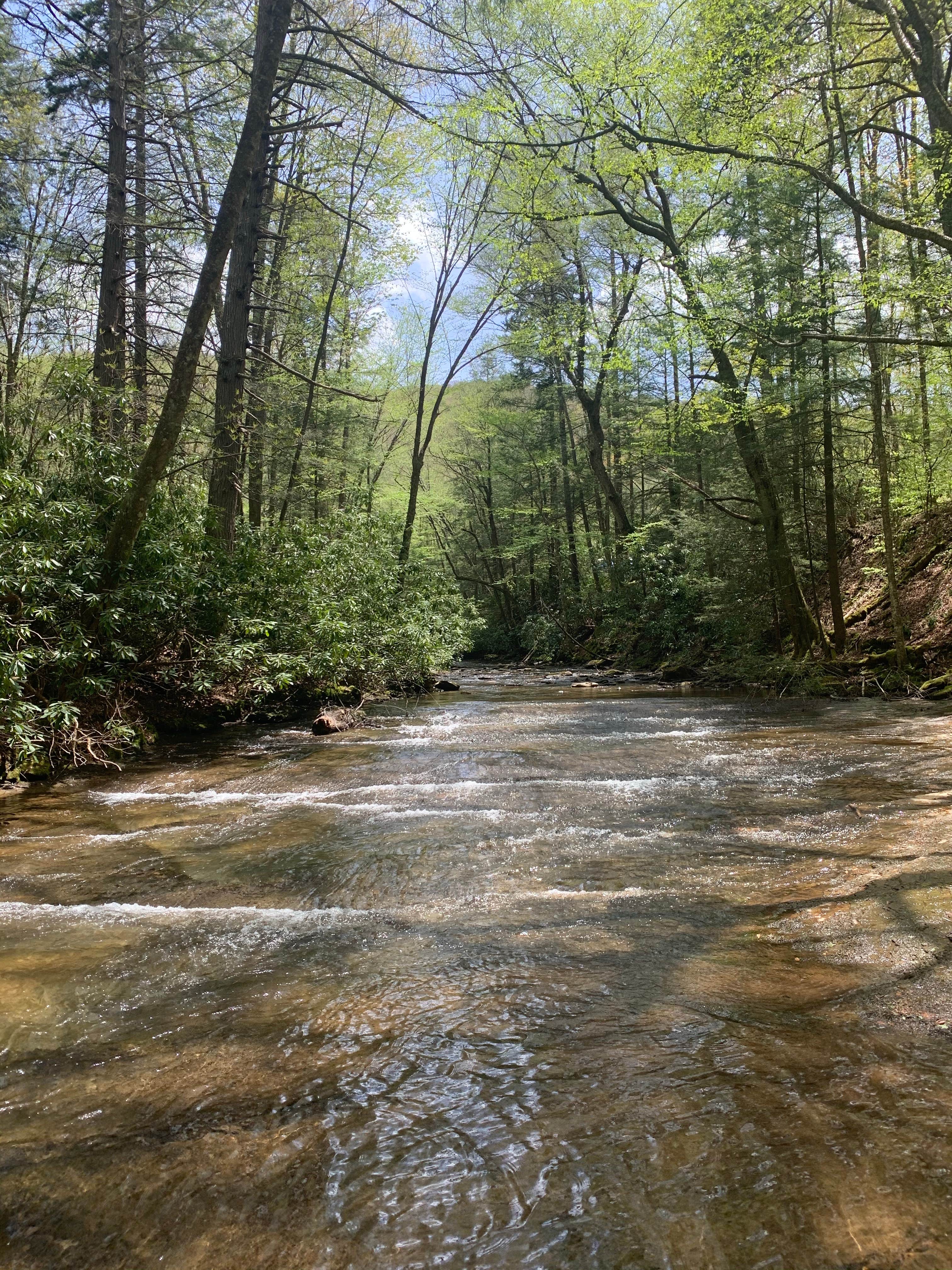Camper-submitted photo at Kumbrabow State Forest near Horner, WV