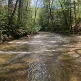 Review photo of Kumbrabow State Forest by Megan  B., July 18, 2020