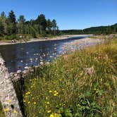 Review photo of Seaquest State Park Campground by Jeri  J., July 18, 2020